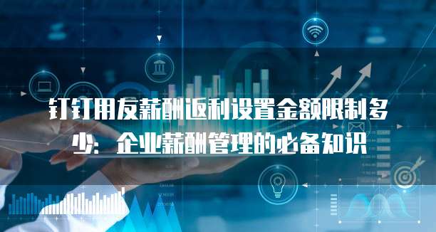 钉钉用友薪酬返利设置金额限制多少：企业薪酬管理的必备知识