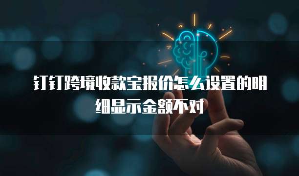 钉钉跨境收款宝报价怎么设置的明细显示金额不对