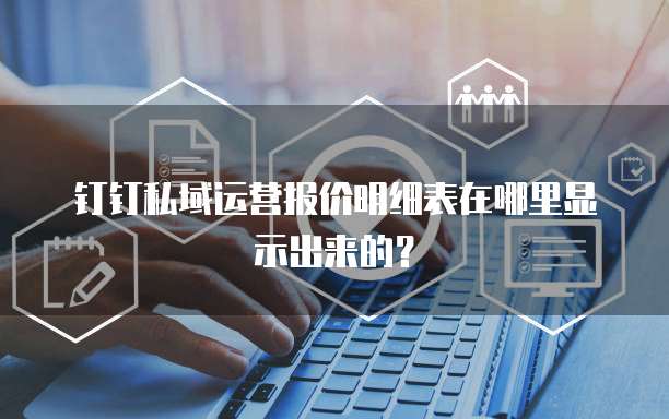钉钉私域运营报价明细表在哪里显示出来的?