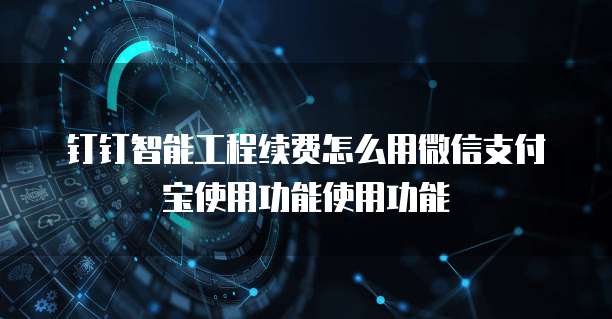 钉钉智能工程续费怎么用微信支付宝使用功能使用功能