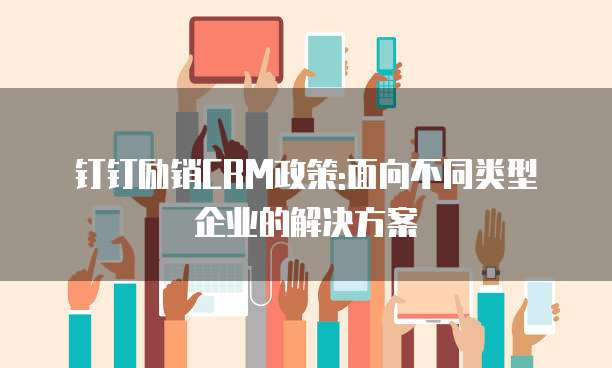 钉钉励销CRM政策:面向不同类型企业的解决方案