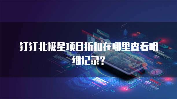 钉钉北极星项目折扣在哪里查看明细记录？