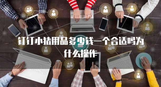 钉钉小猪用品多少钱一个合适吗为什么操作