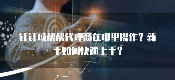 钉钉项帮帮代理商在哪里操作?新手如何快速上手?
