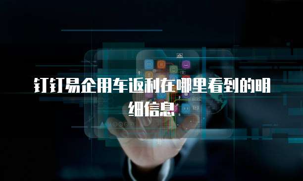 钉钉易企用车返利在哪里看到的明细信息