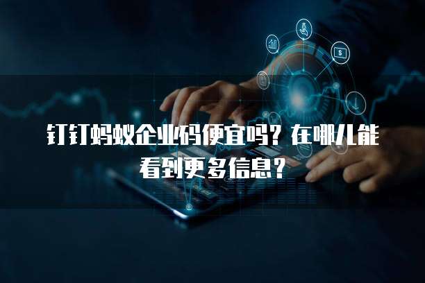 钉钉蚂蚁企业码便宜吗?在哪儿能看到更多信息?