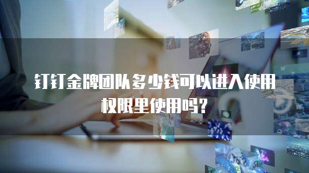 钉钉金牌团队多少钱可以进入使用权限里使用吗?