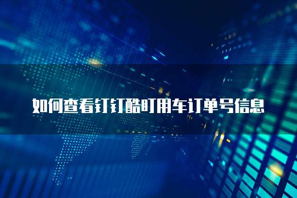 如何查看钉钉酷盯用车订单号信息