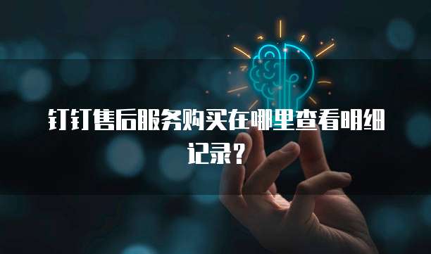 钉钉售后服务购买在哪里查看明细记录?