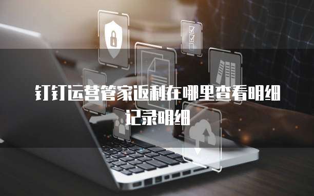 钉钉运营管家返利在哪里查看明细记录明细