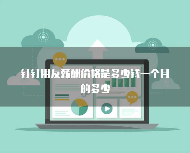 钉钉用友薪酬价格是多少钱一个月的多少