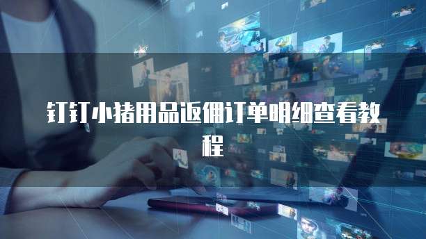 钉钉小猪用品返佣订单明细查看教程