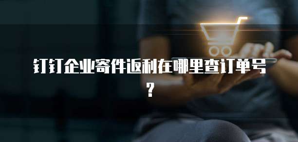钉钉企业寄件返利在哪里查订单号?
