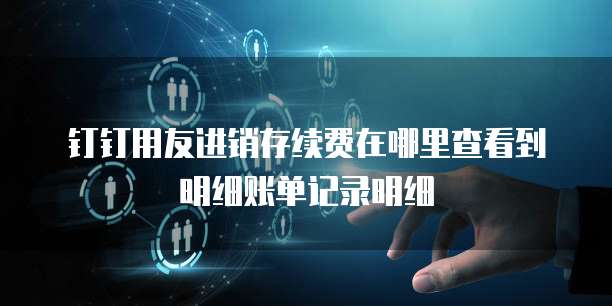 钉钉用友进销存续费在哪里查看到明细账单记录明细