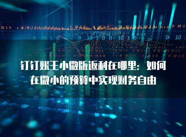 钉钉账王小微版返利在哪里:如何在微小的预算中实现财务自由