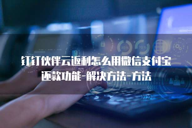 钉钉伙伴云返利怎么用微信支付宝还款功能-解决方法-方法