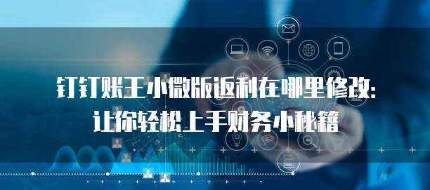 钉钉账王小微版返利在哪里修改:让你轻松上手财务小秘籍