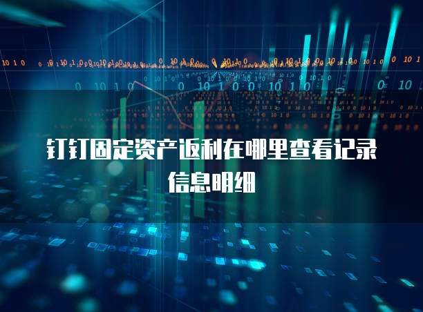 钉钉固定资产返利在哪里查看记录信息明细