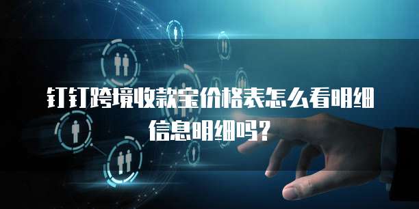 钉钉跨境收款宝价格表怎么看明细信息明细吗?