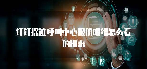 钉钉探迹呼叫中心报价明细怎么看的出来