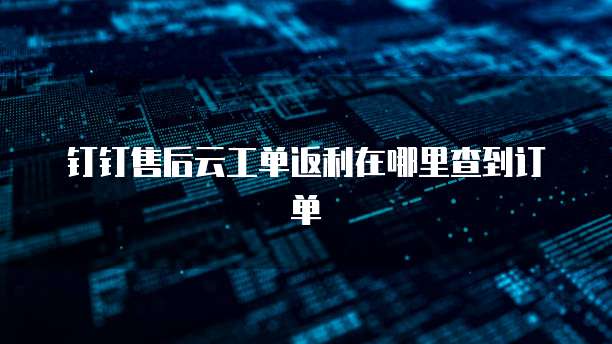 钉钉售后云工单返利在哪里查到订单