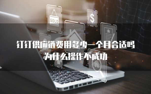 钉钉供应链费用多少一个月合适吗为什么操作不成功