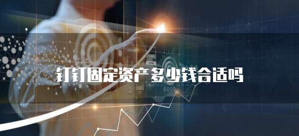 钉钉固定资产多少钱合适吗
