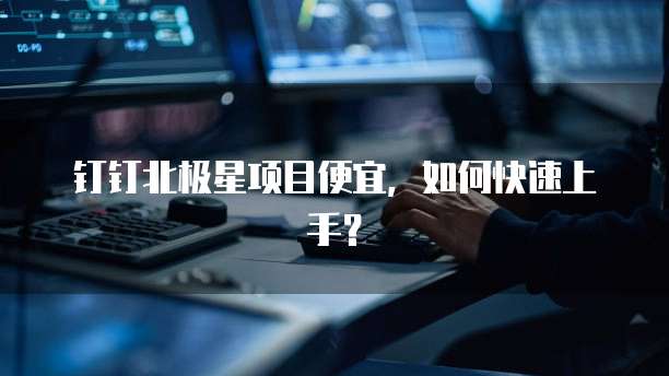 钉钉北极星项目便宜,如何快速上手?