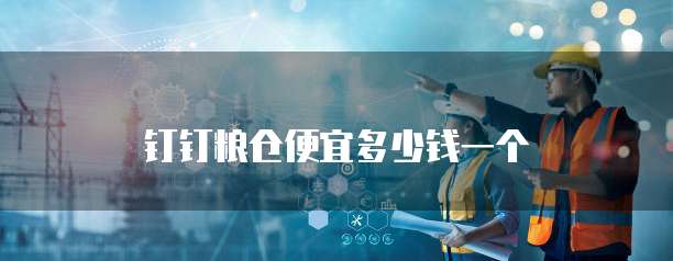 钉钉粮仓便宜多少钱一个