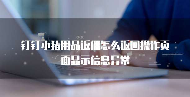 钉钉小猪用品返佣怎么返回操作页面显示信息异常
