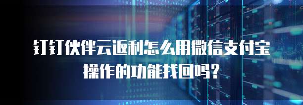 钉钉伙伴云返利怎么用微信支付宝操作的功能找回吗?