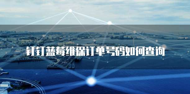 钉钉蓝莓维保订单号码如何查询
