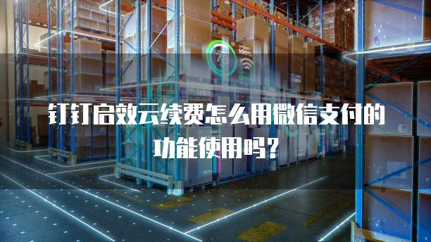 钉钉启效云续费怎么用微信支付的功能使用吗?