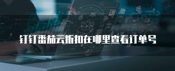 钉钉番茄云折扣在哪里查看订单号