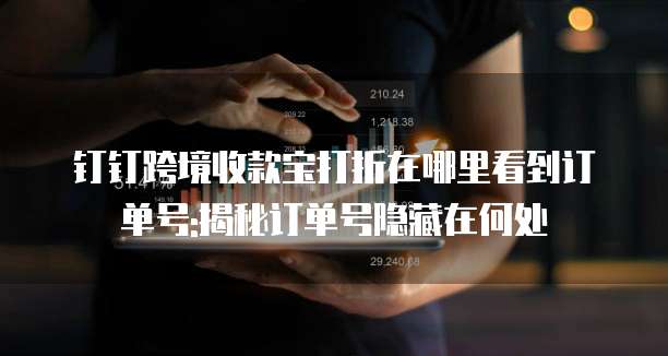 钉钉跨境收款宝打折在哪里看到订单号:揭秘订单号隐藏在何处