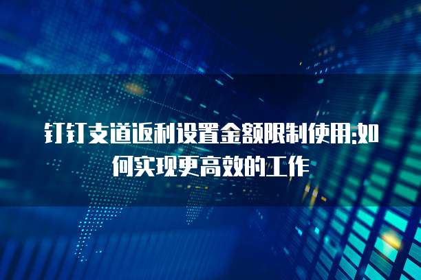 钉钉支道返利设置金额限制使用:如何实现更高效的工作
