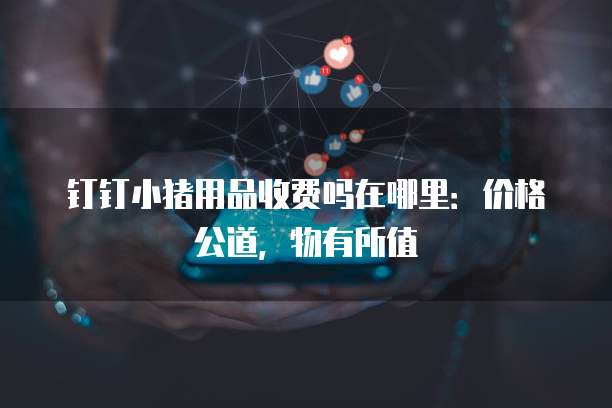 钉钉小猪用品收费吗在哪里：价格公道，物有所值