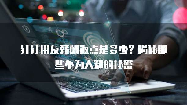 钉钉用友薪酬返点是多少?揭秘那些不为人知的秘密