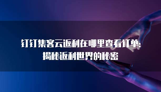 钉钉集客云返利在哪里查看订单:揭秘返利世界的秘密