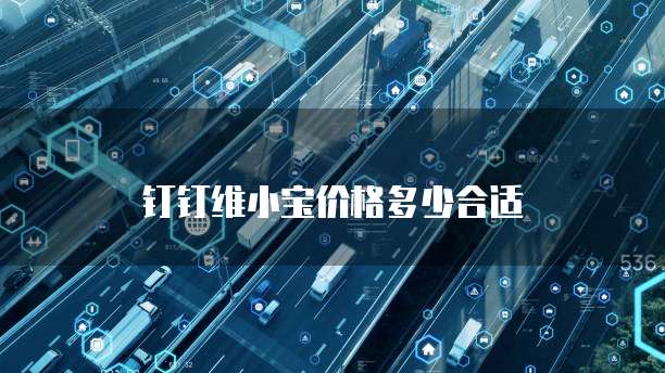 钉钉维小宝价格多少合适