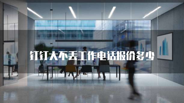 钉钉大不丢工作电话报价多少