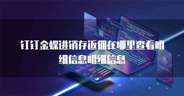 钉钉金蝶进销存返佣在哪里查看明细信息明细信息