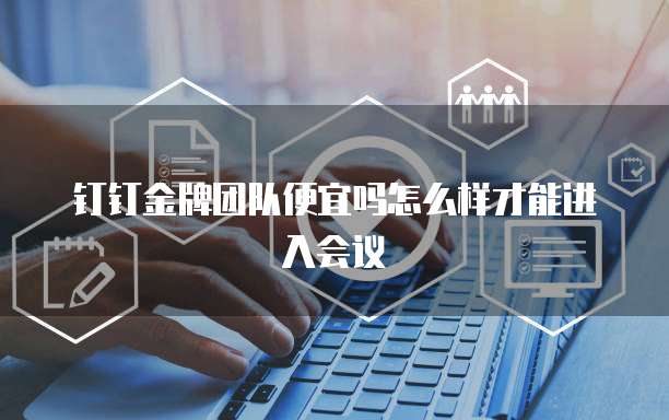 钉钉金牌团队便宜吗怎么样才能进入会议