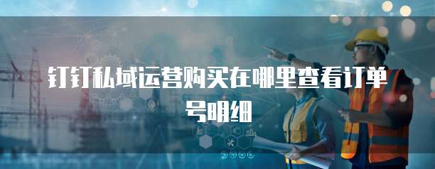 钉钉私域运营购买在哪里查看订单号明细
