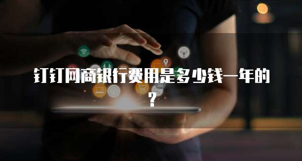 钉钉网商银行费用是多少钱一年的？