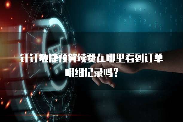 钉钉敏捷预算续费在哪里看到订单明细记录吗？