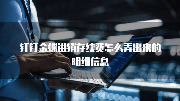 钉钉金蝶进销存续费怎么弄出来的明细信息
