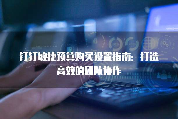 钉钉敏捷预算购买设置指南:打造高效的团队协作