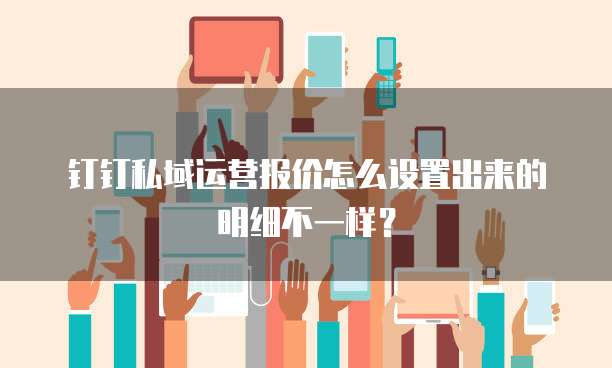 钉钉私域运营报价怎么设置出来的明细不一样?