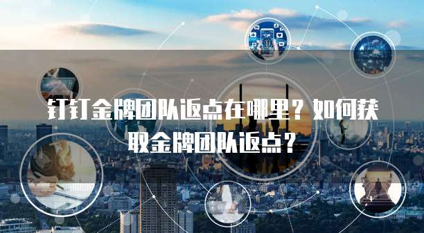 钉钉金牌团队返点在哪里?如何获取金牌团队返点?